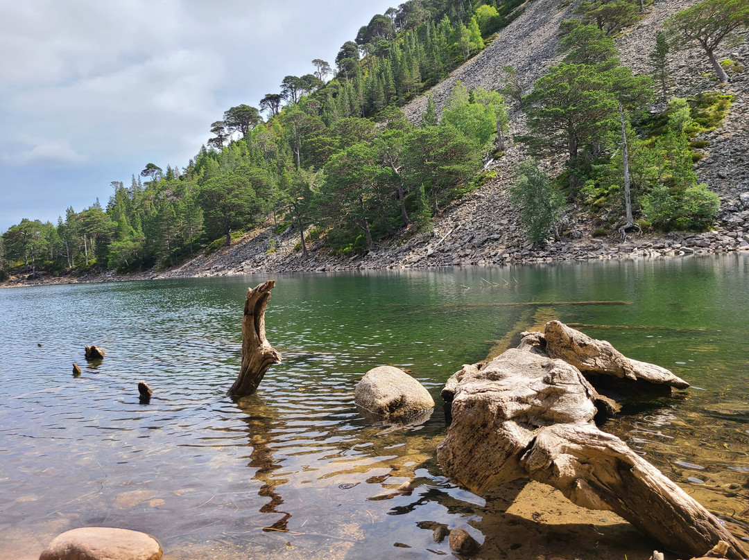 An Lochan Uaine-阿维莫尔必去景点