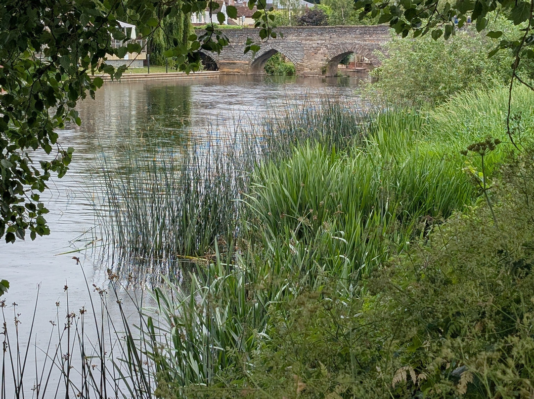 The Big Meadow, Bidford-Bidford-on-Avon必去景点