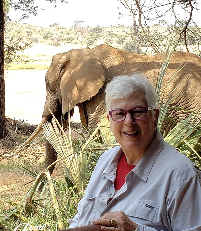Lemnshan African Adventure Safari-南由基必去景点
