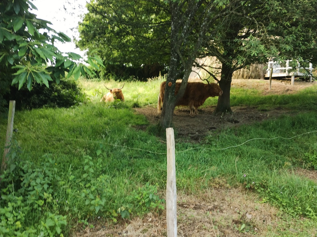 La Libaudière主图