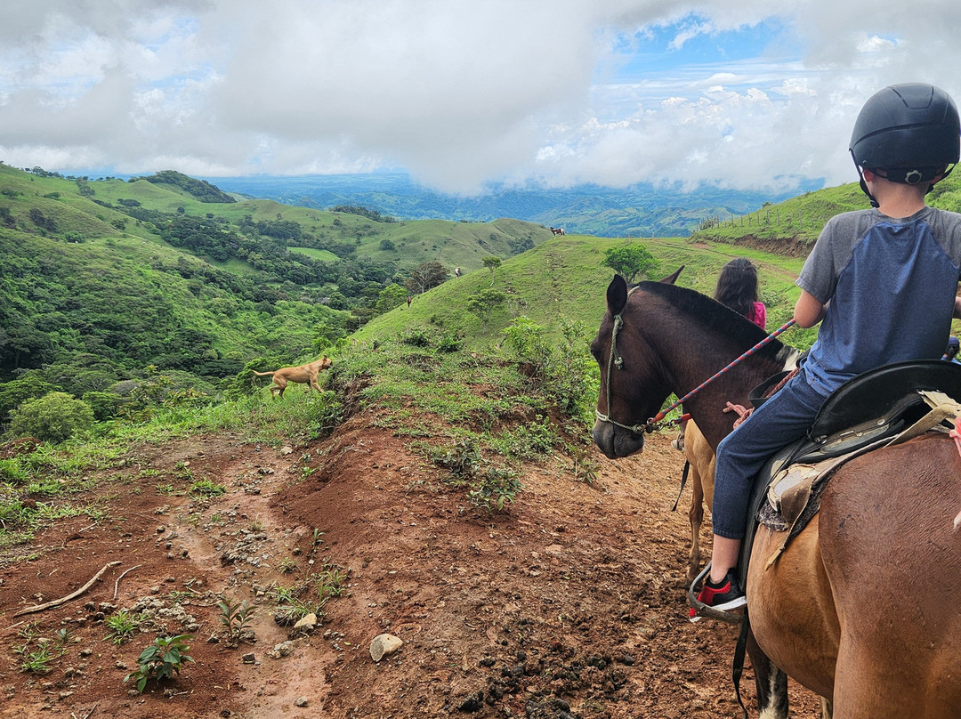 Equus Monteverde-Alto Cebadilla必去景点