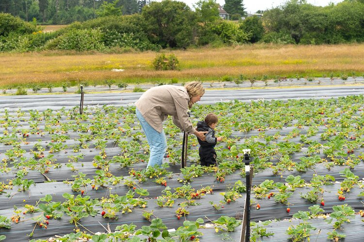 Woodside Farm-苏克必去景点