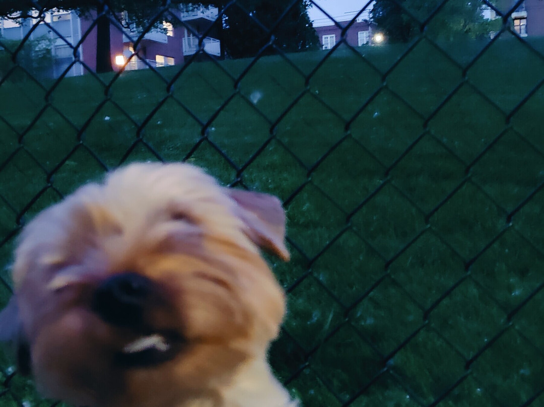 Schrute Farms Tours-洪斯代尔必去景点