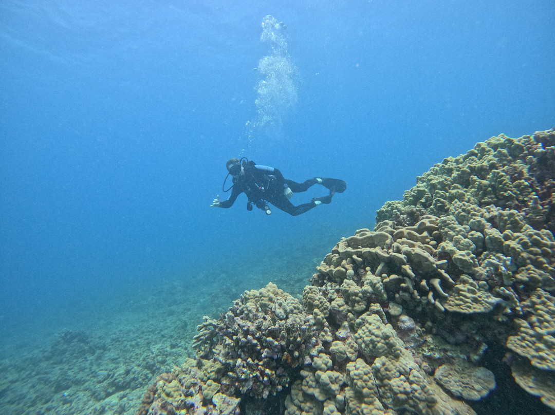 Big Kahuna Water Sports-火奴鲁鲁必去景点
