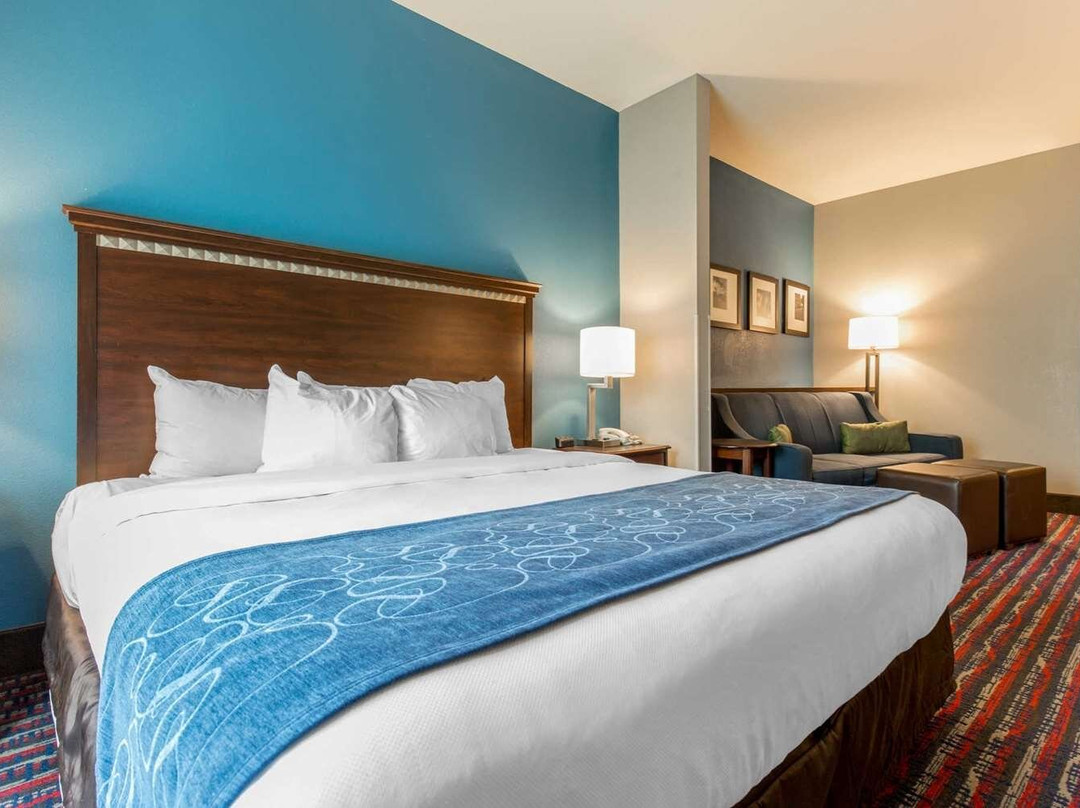 Caseyville酒店住宿-Comfort Suites