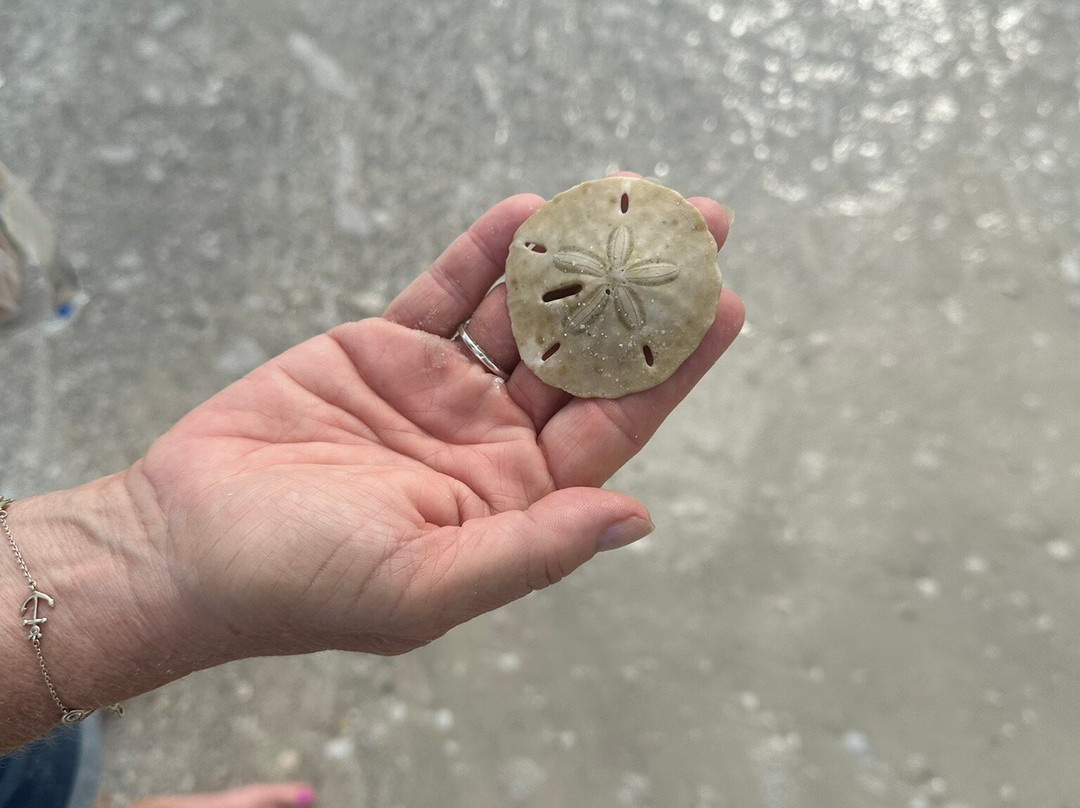 Reel Kind Fishing and Tours-Goodland必去景点