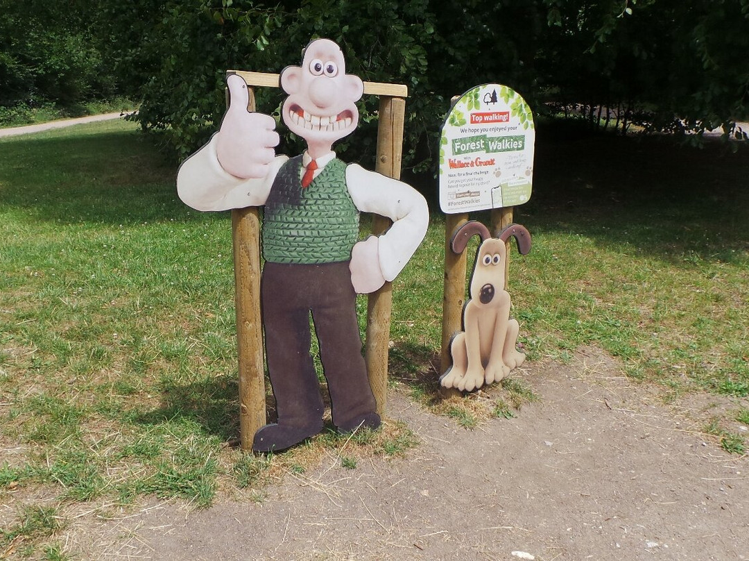 Wendover Woods-Wendover必去景点