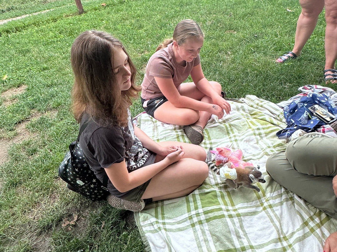 Bear Den Zoo & Petting Farm-Waterford必去景点