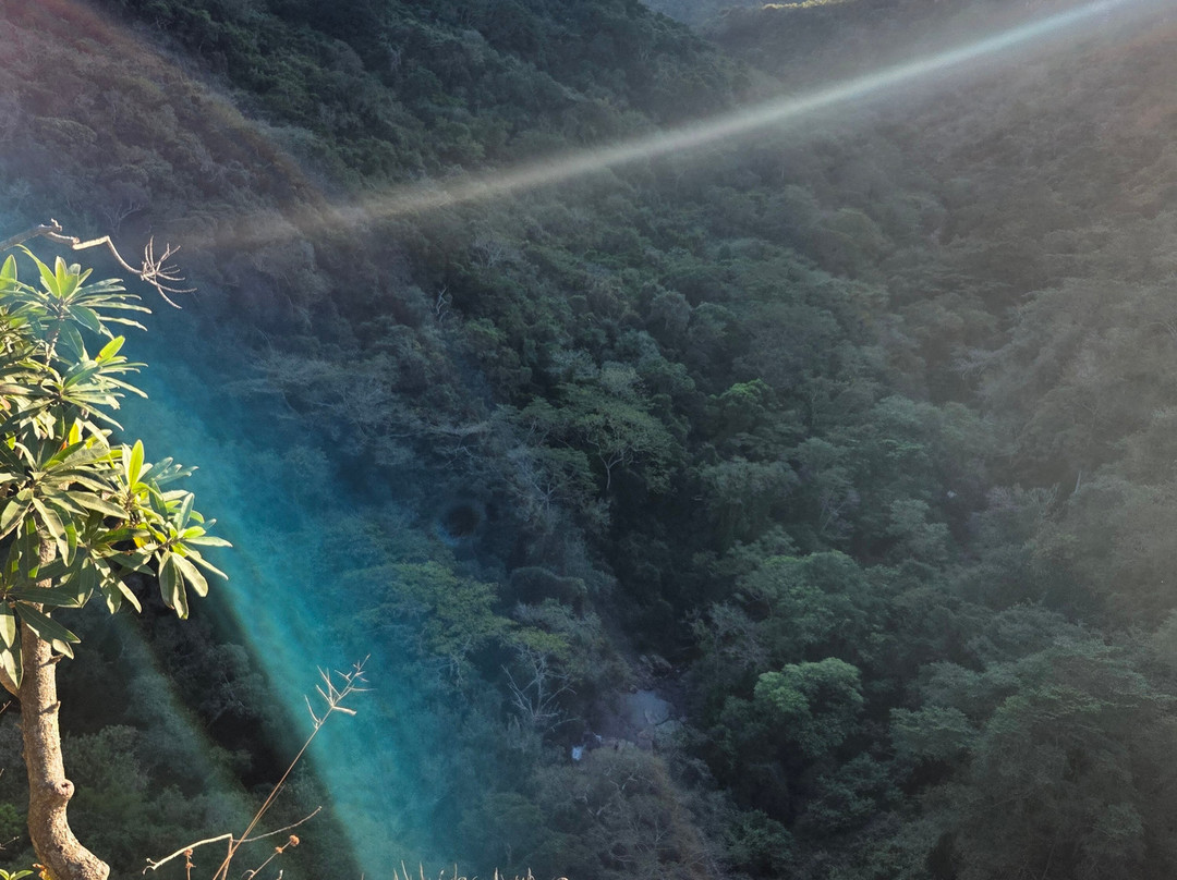 Krantzkloof Nature Reserve-派恩敦必去景点