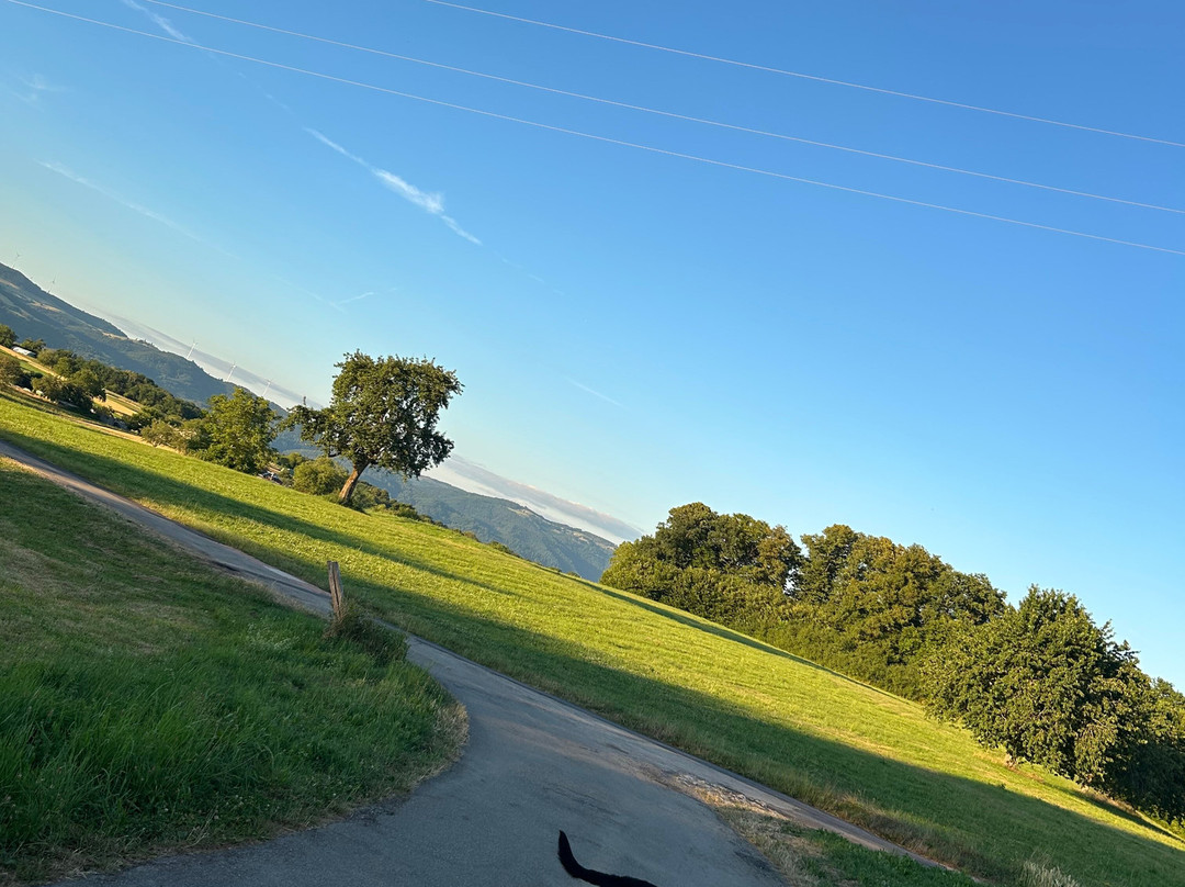 Hotel Restaurant Hohe Flum主图