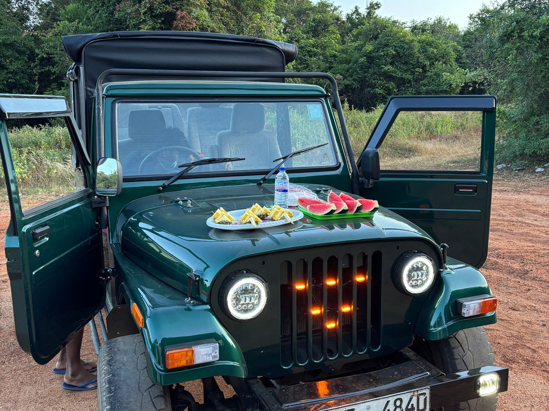 Minneriya jeep safaris tour-哈巴拉娜必去景点