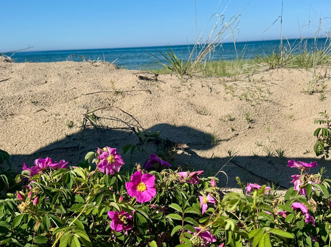 Providence Bay Beach-Providence Bay必去景点