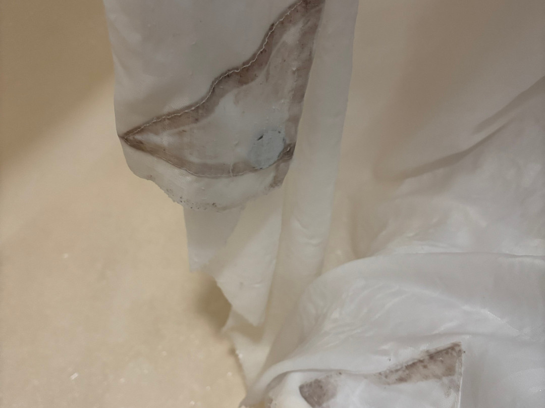 Quality Inn & Suites Mendota near I-39主图