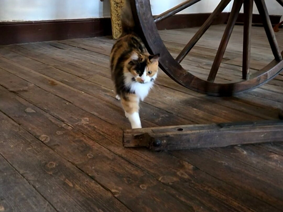 Richmond Horse Museum-Richmond必去景点