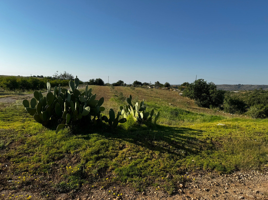 Agriturismo La Mela di Venere主图
