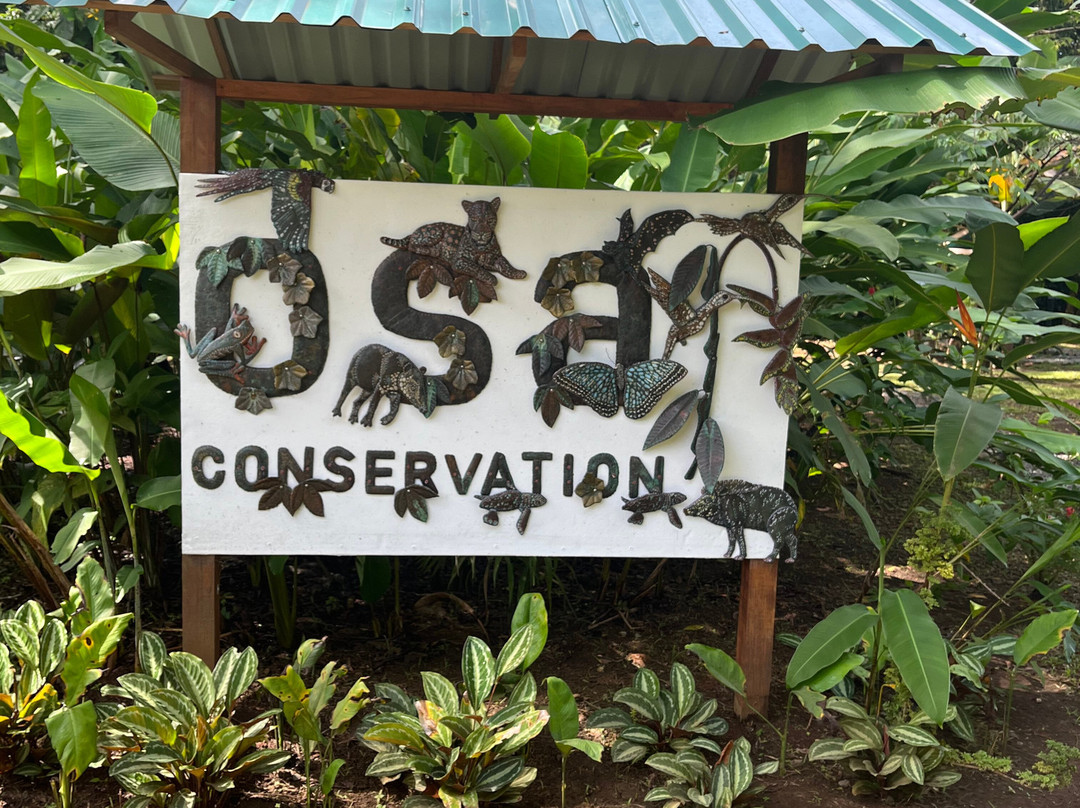 Osa Conservation Campus-希门尼斯港必去景点