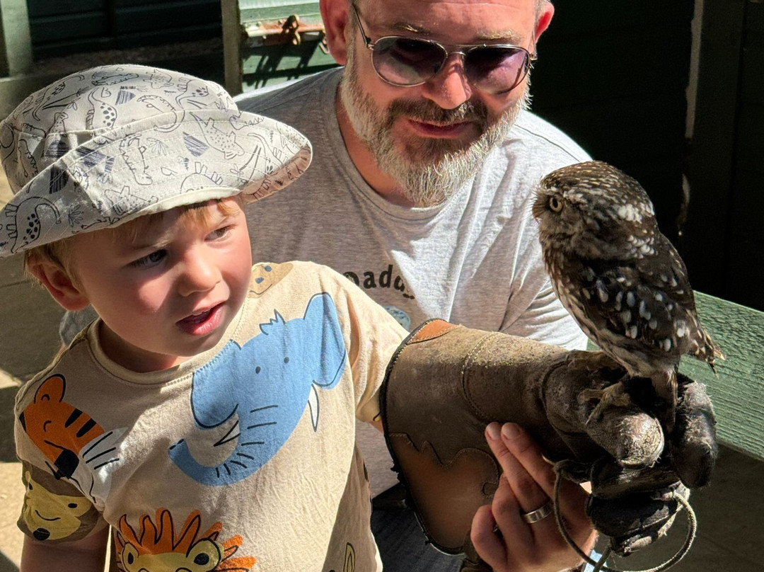 Dalhousie Castle Falconry-邦尼里格必去景点
