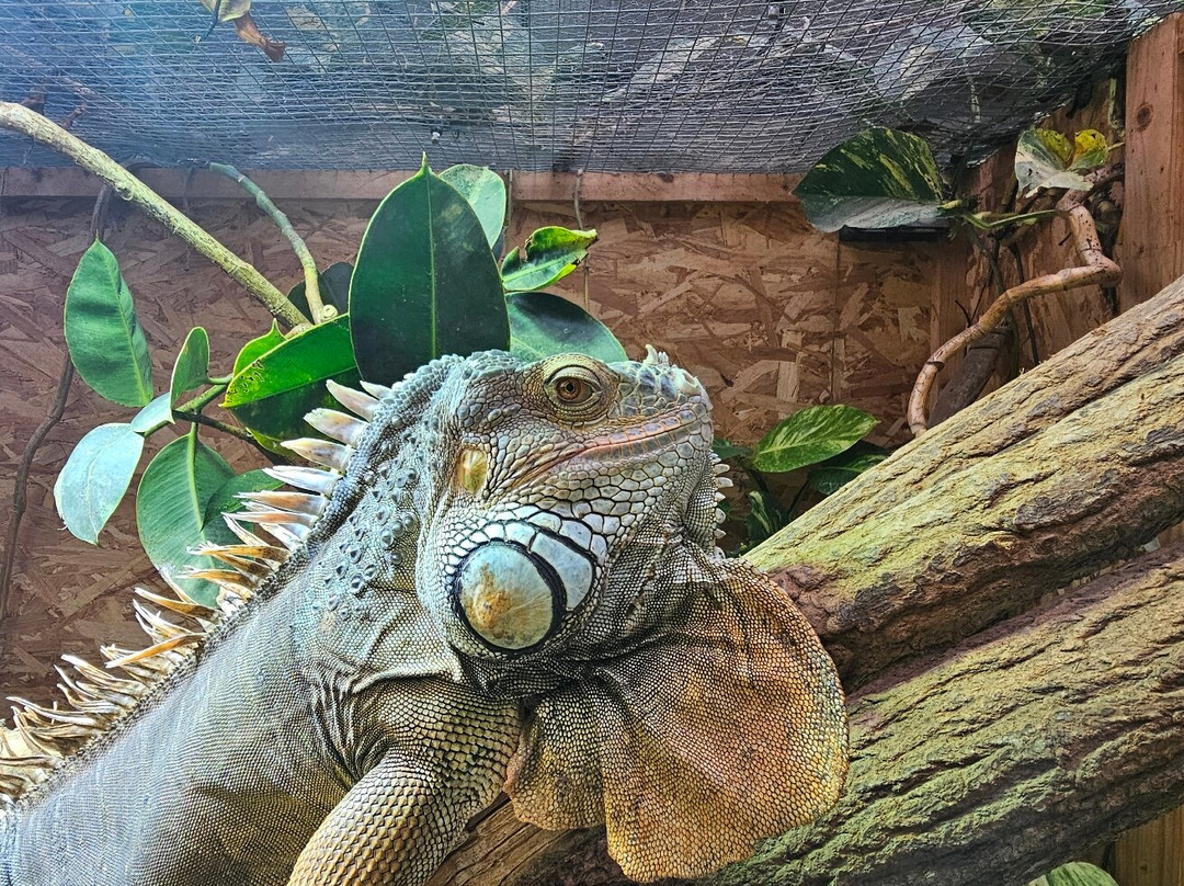 Exotic Park-Lescar必去景点