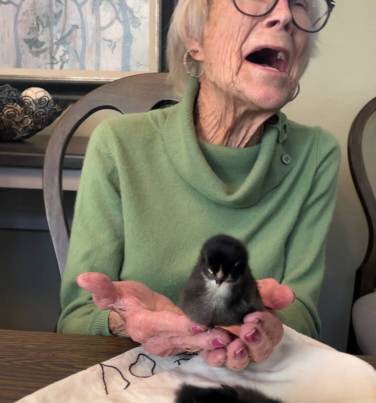 Two By Two Ranch & Petting Zoo