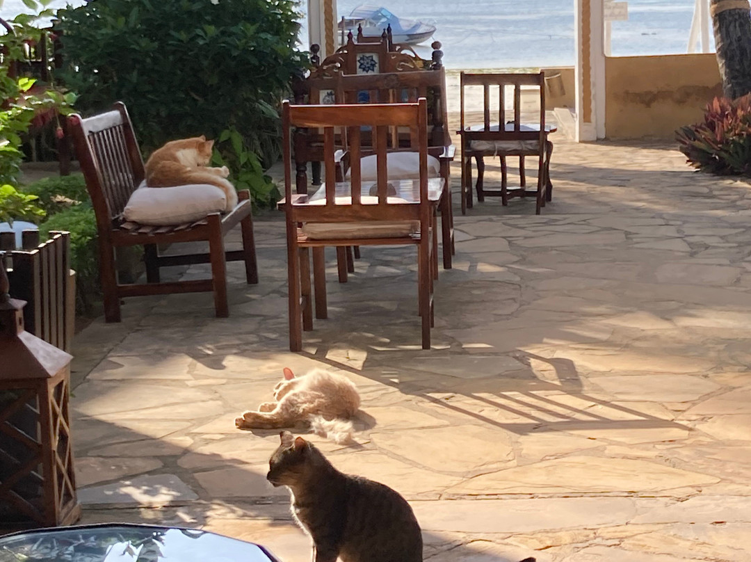 Zanzibar House主图