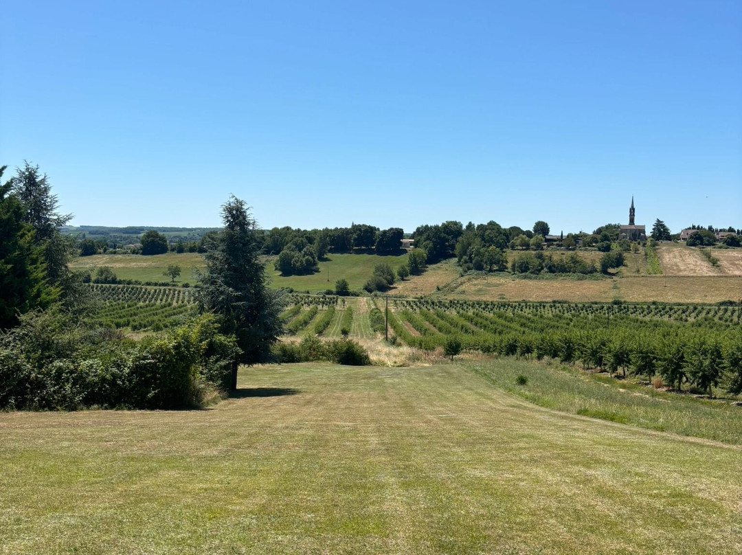 Labarthe B&B and Gite主图