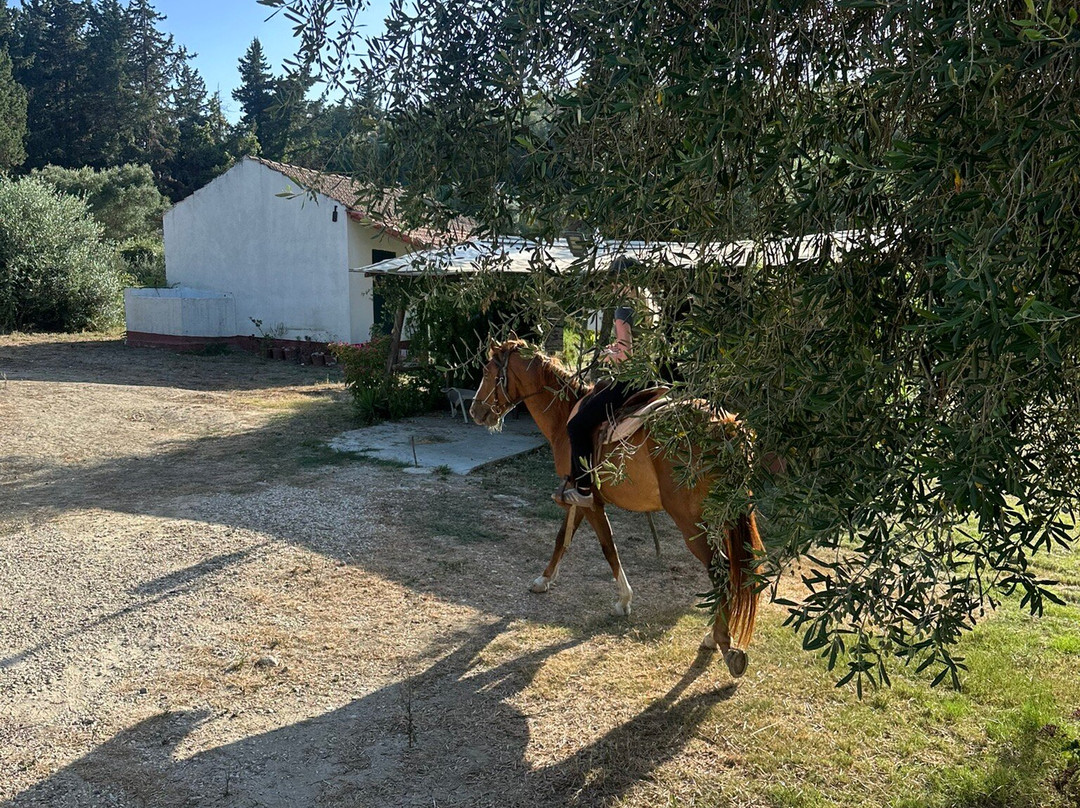 Horseland Kavos-Kavos必去景点