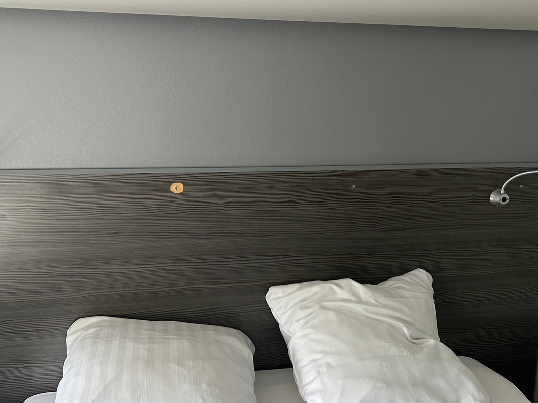 斯堪的纳维亚卡宾酒店主图