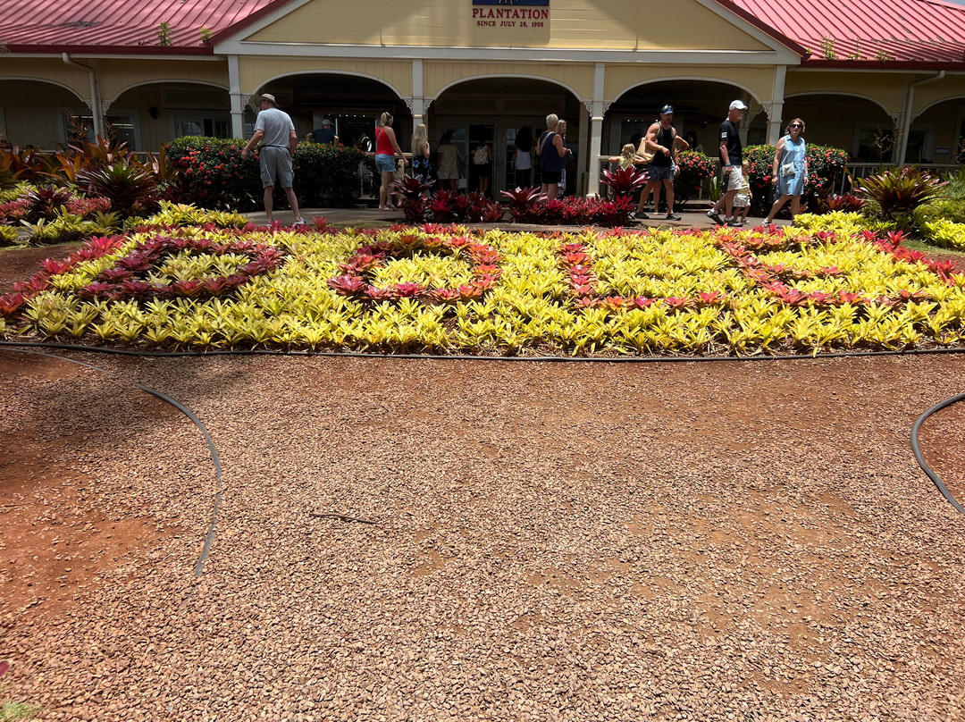 Aina Tours llc-火奴鲁鲁必去景点