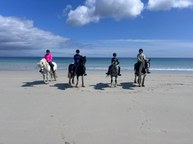Tiree Equestrian