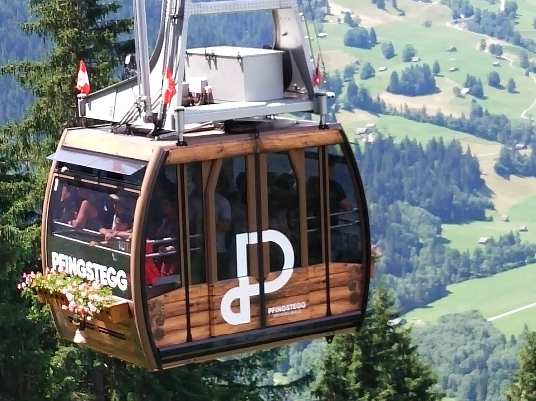 Berner Oberland Pass - 1 Ticket for the entire Bernese Oberland-因特拉肯必去景点