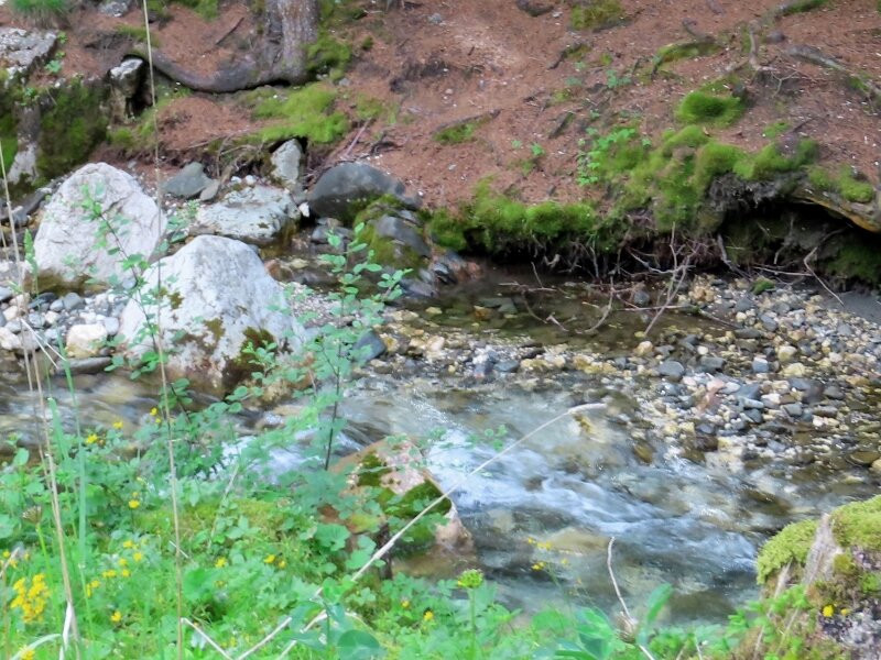 Torrente Fiorentina-Selva di Cadore必去景点