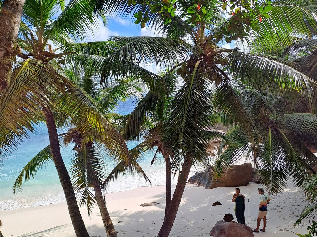 Anse Patates Beach-拉迪格岛必去景点
