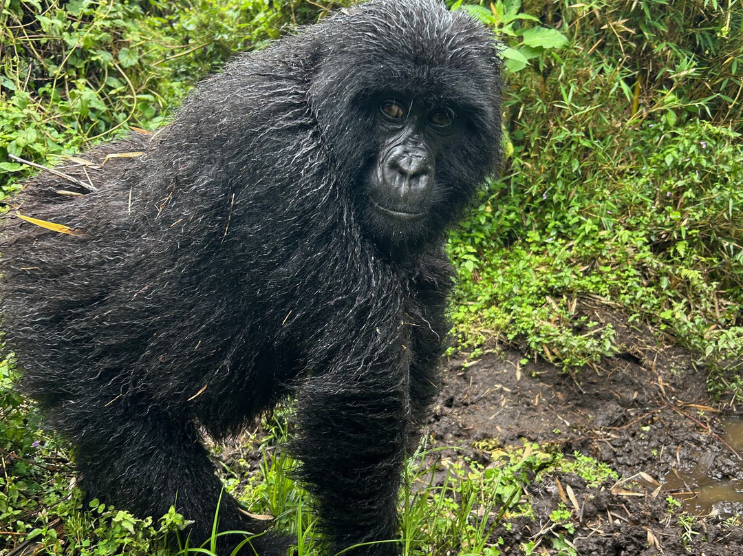Judith Safaris-吉佳利必去景点