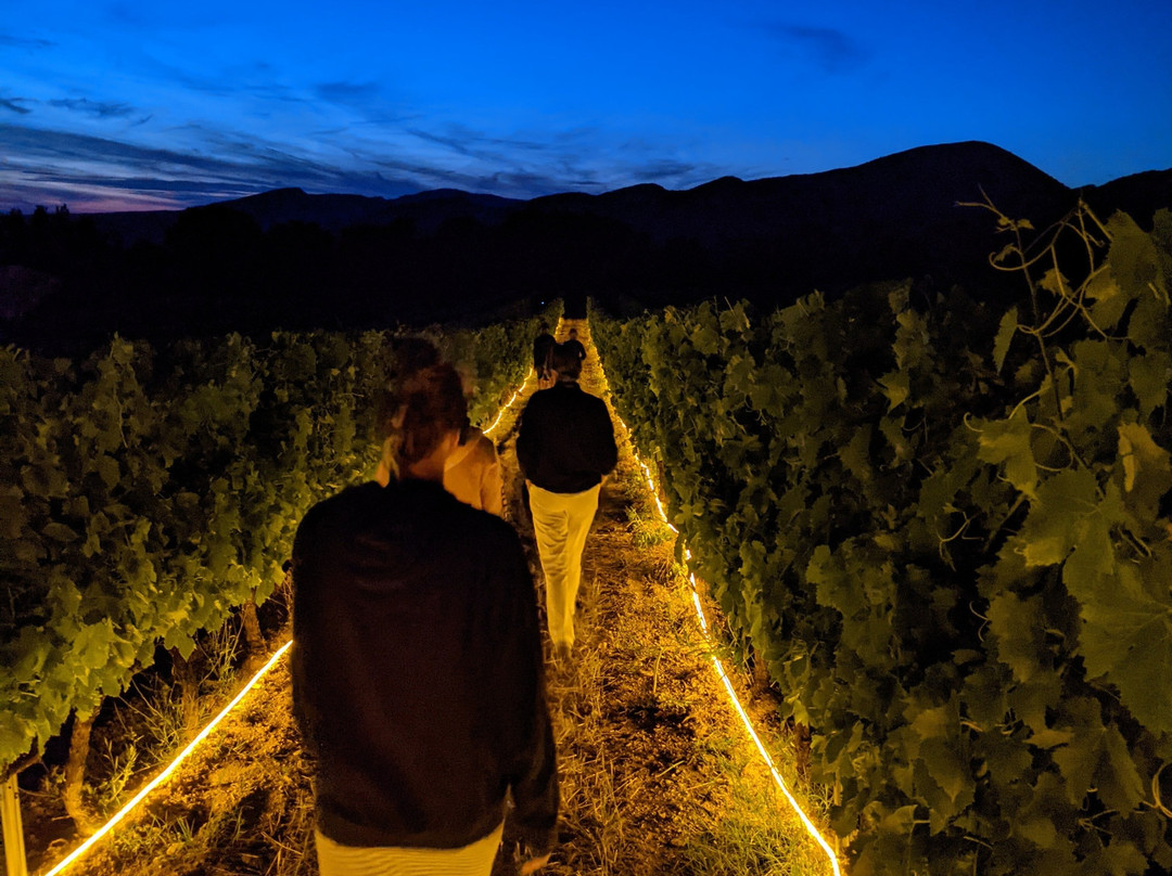 Domaine de la Bouvaude-Rousset-les-Vignes必去景点