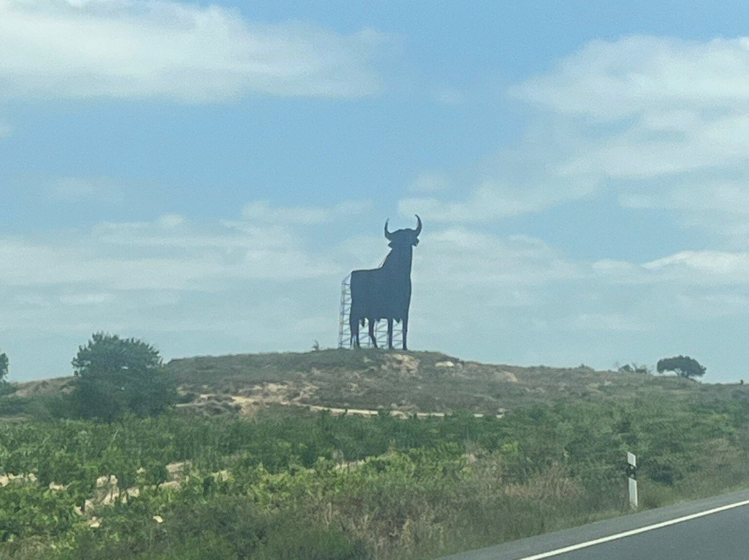 Bodegas Marqués De Cáceres-Cenicero必去景点