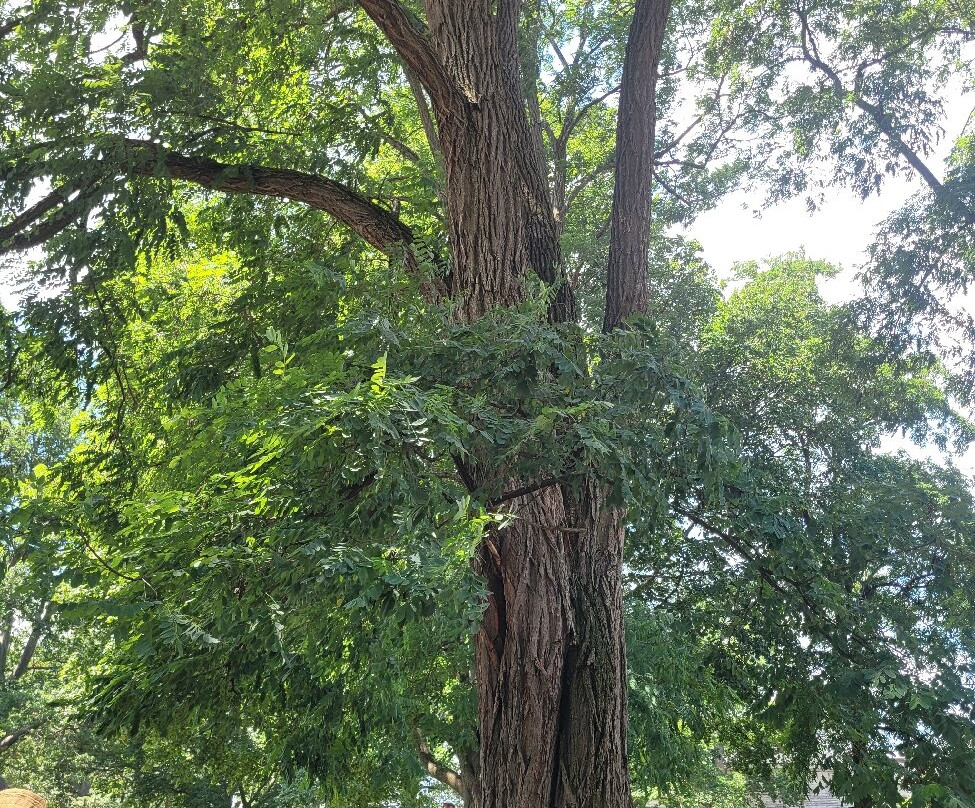Old Burying Point Cemetery-塞勒姆必去景点