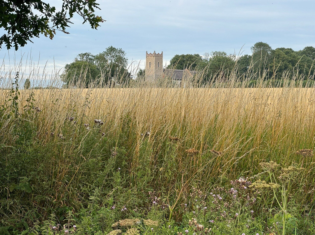 Bureside Holiday Park-大雅茅斯必去景点