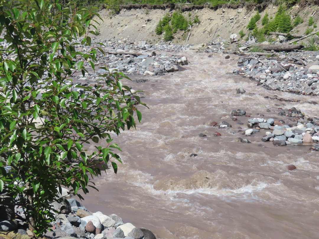Wonderland Trail-雷尼尔山国家公园必去景点