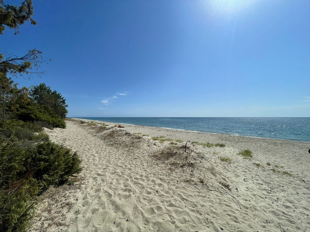 Fun Orizonte-Ghisonaccia必去景点