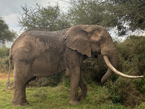 Netherken Safaris & Tours-蒙巴萨必去景点
