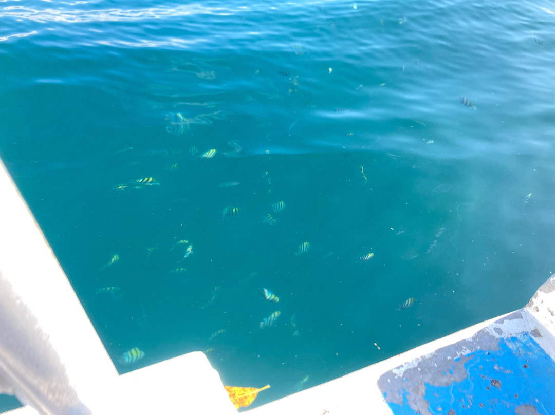 Belo Vula Resort主图