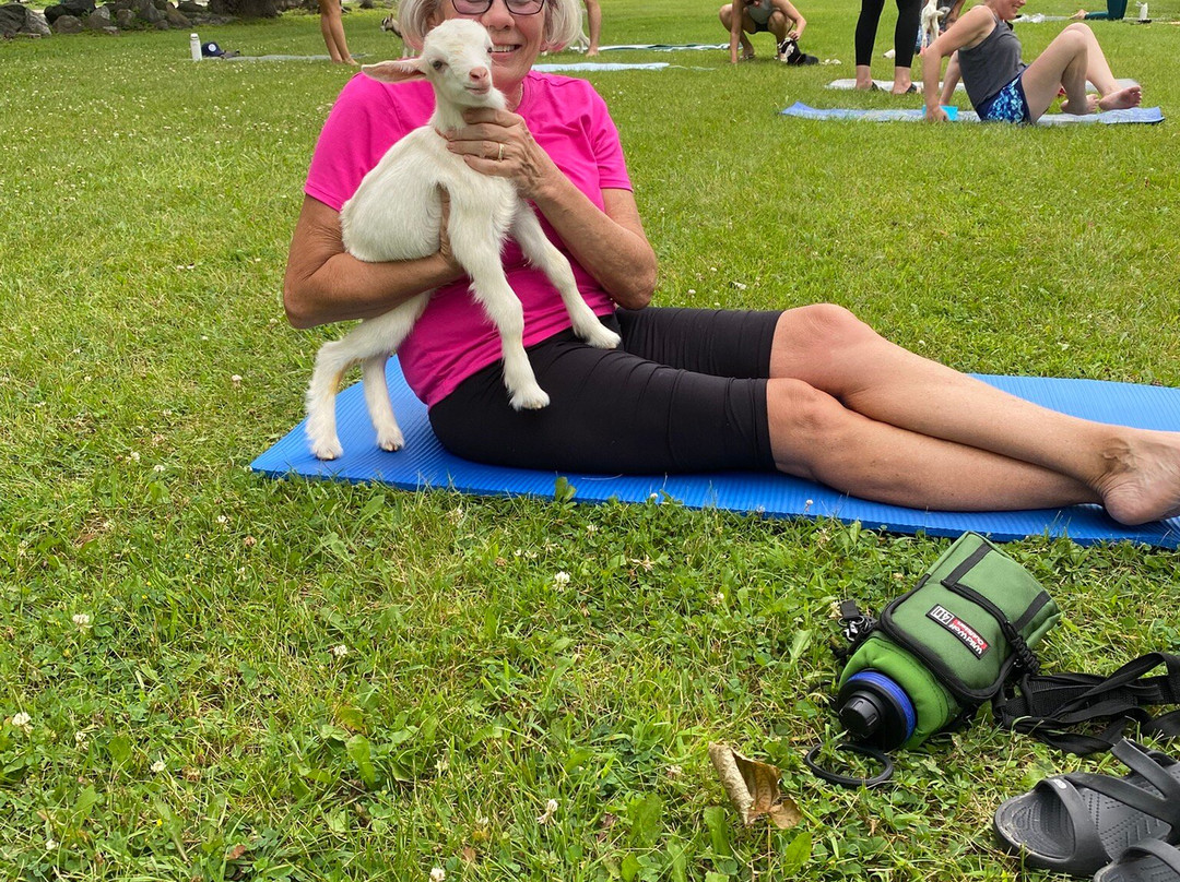 Wade House-Greenbush必去景点