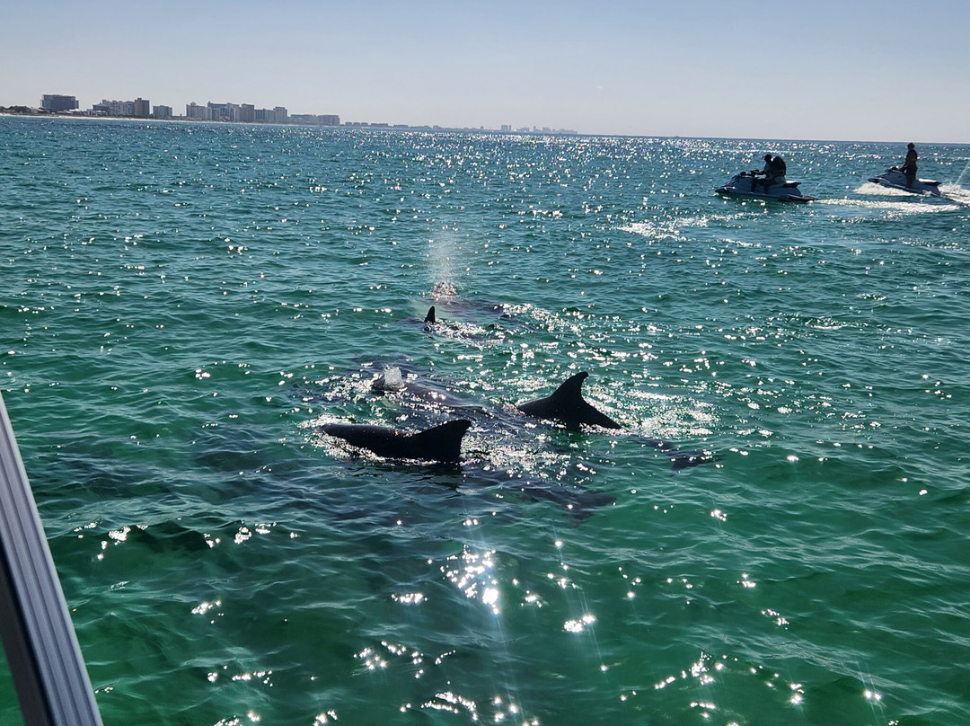 J Katt Boat Tours-Shalimar必去景点