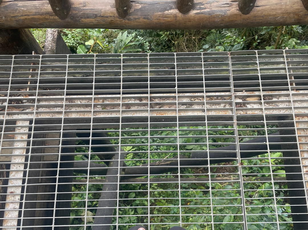 Sallet Tour-伊利亚贝拉必去景点