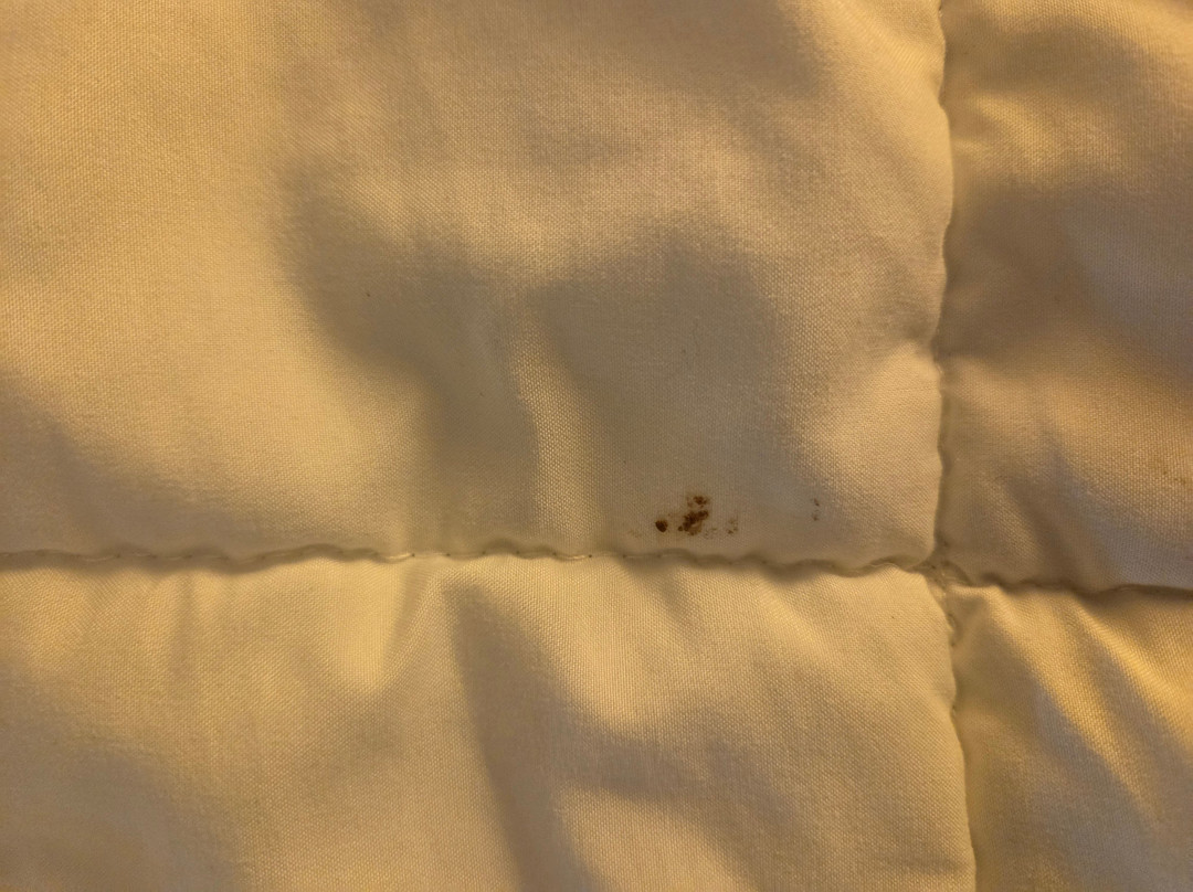 布法罗国际机场假日酒店主图