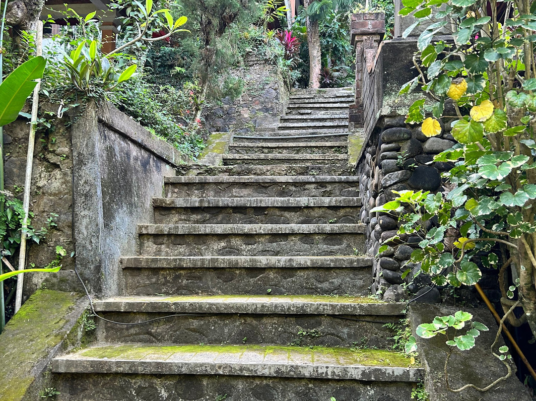 彭杜克旅游格亚纱丽酒店主图
