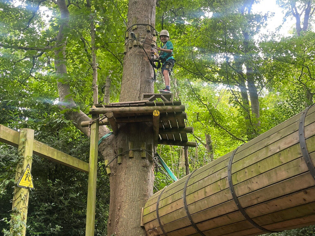 Squirrel Scramble-布瑞必去景点