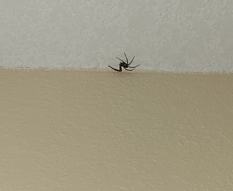 Best Western Stateline Lodge主图