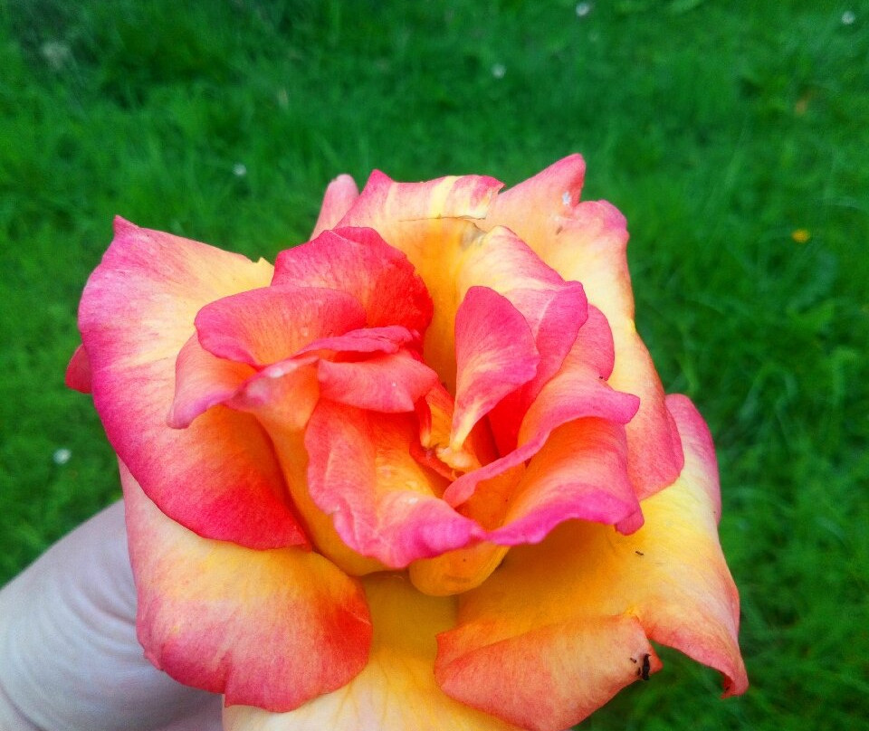 Samlesbury Hall-Samlesbury必去景点