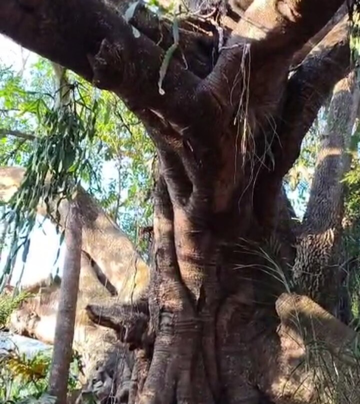 Pousada da Gameleira主图